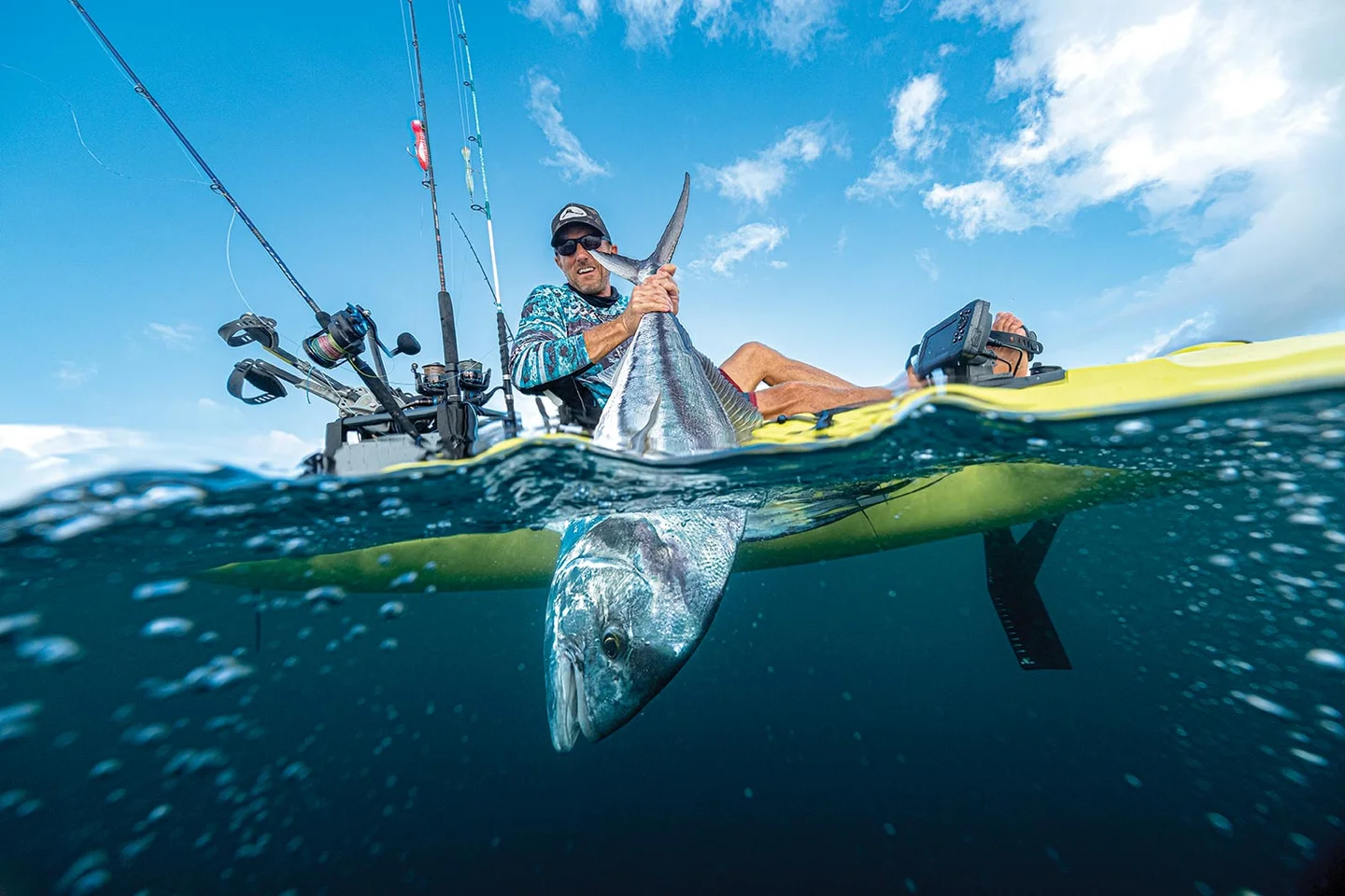 What Is the Best Bait for Shark Fishing?